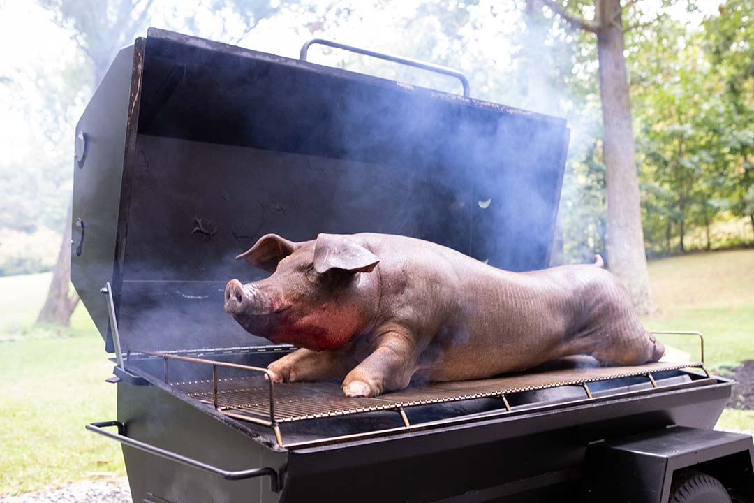 Whole Pig PR60T Pig Roaster Vs TS250 Tank Smoker