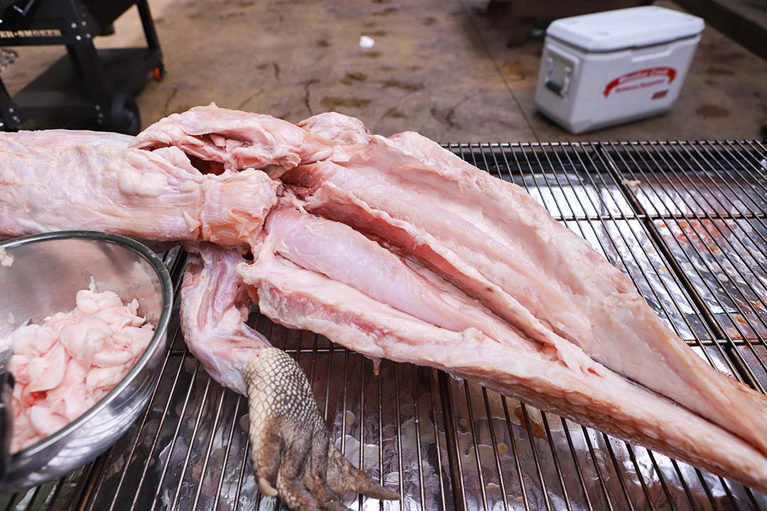 Prepping Gator Prepping Gator