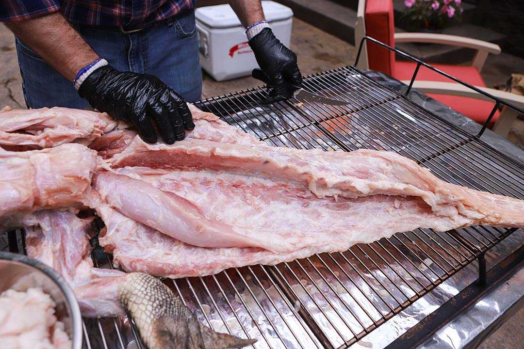Prepping Gator Prepping Gator