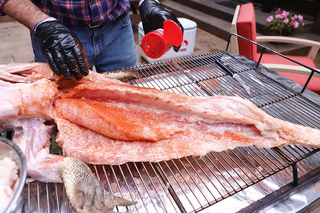 Prepping Gator Prepping Gator