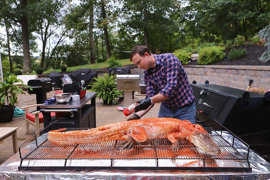 Seasoning Alligator Seasoning Alligator