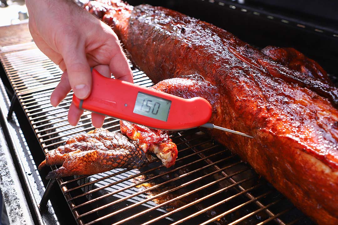 Smoked Alligator on Meadow Creek PR Smoked Alligator on Meadow Creek PR