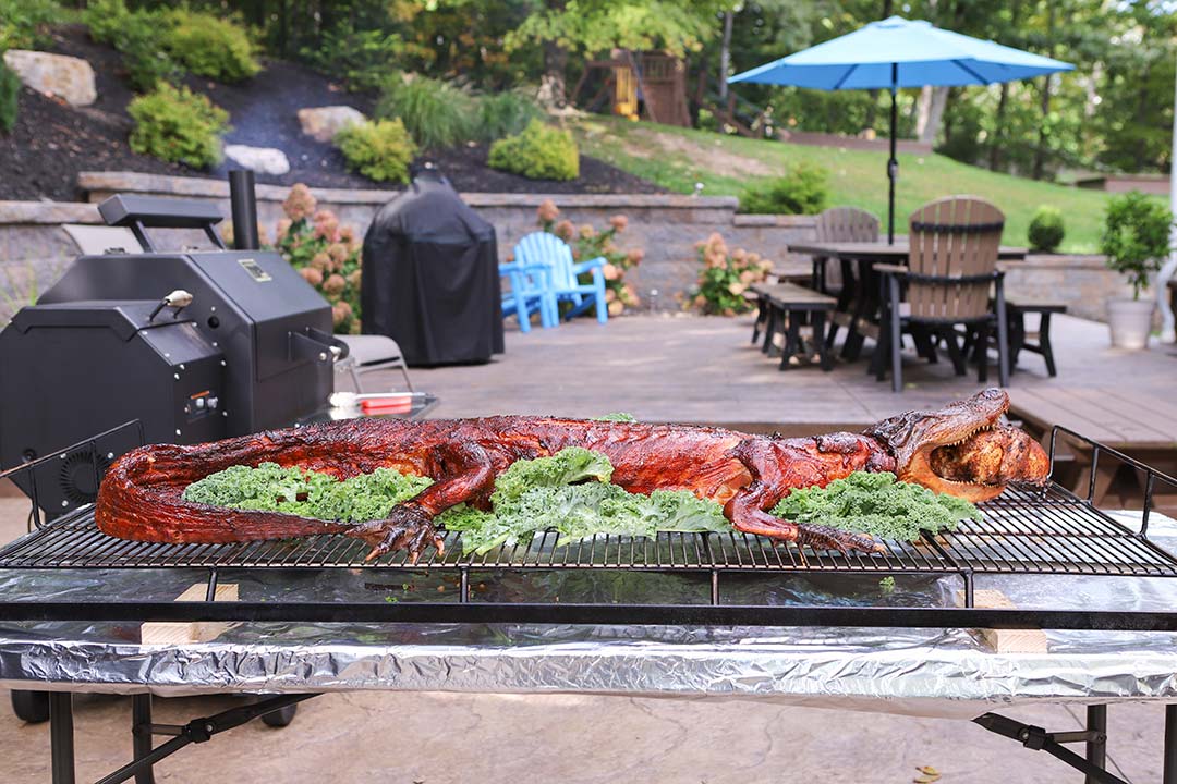 52_smoked_whole_alligator
