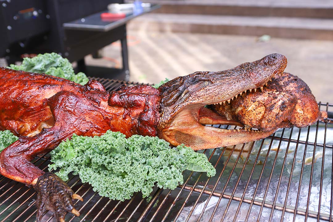 Cooked Crocodile My Humble Kitchen Stir Fry Crocodile Meat With