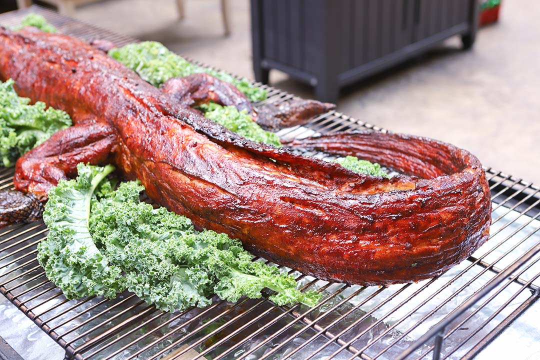 How to Cook a Whole Alligator How to Cook a Whole Alligator