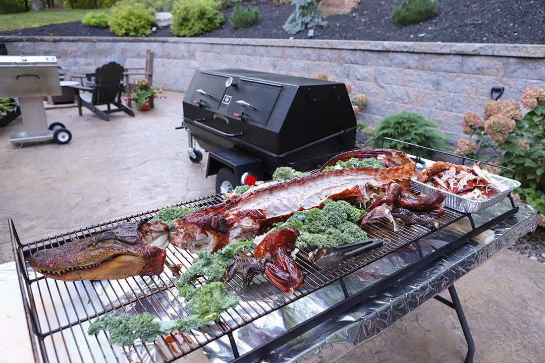 Cooked Gator Cooked Gator