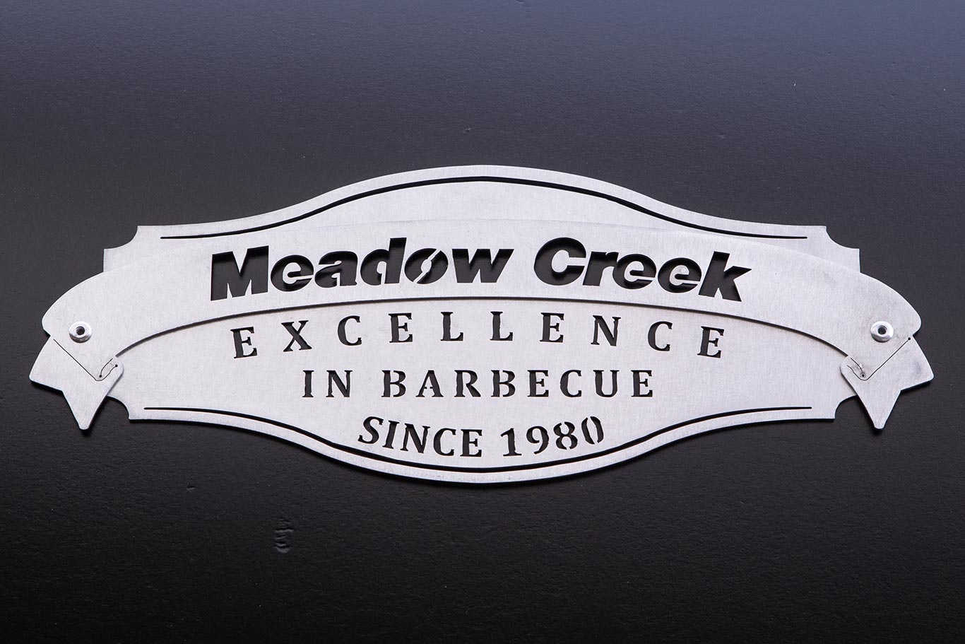 Logo on Door